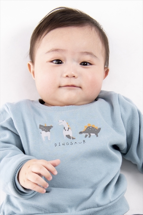 佐藤 碧 俳優プロフィール検索 劇団ひまわり